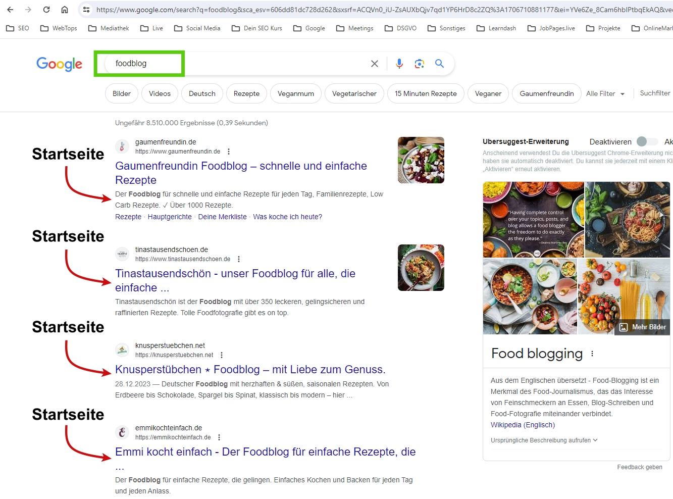 Google Screenshot zu dem Keyword "Foodblog". Im Screenshot sind alle Websites markiert, bei denen die Startseite rankt.